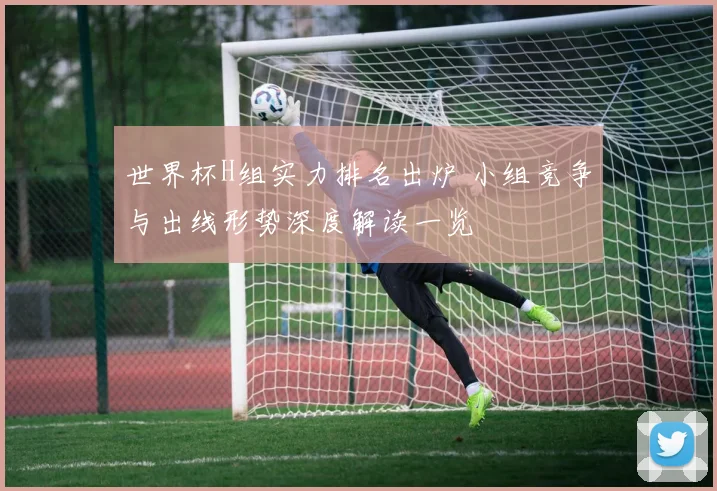 世界杯H组实力排名出炉 小组竞争与出线形势深度解读一览