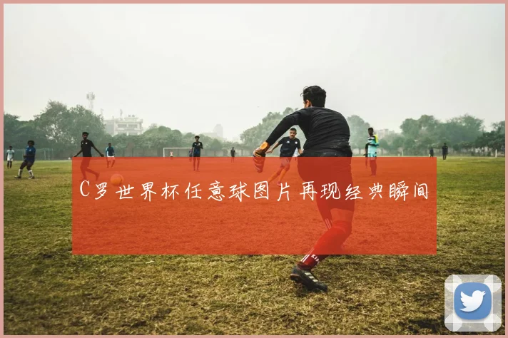 C罗世界杯任意球图片再现经典瞬间
